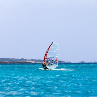 windsurfing plachta - freeride, BAD2 , 2 camber ,  Challengers sails - product/a1/2-bad-pro-1542132132.4767-60550.jpg
